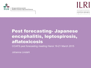 Pest forecasting- Japanese
encephalitis, leptospirosis,
aflatoxicosis
CCAFS pest forecasting meeting Hanoi 19-21 March 2015
Johanna Lindahl
 