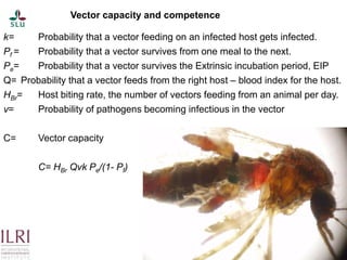 Pest forecasting: Japanese encephalitis, leptospirosis, aflatoxicosis