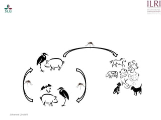 Pest forecasting: Japanese encephalitis, leptospirosis, aflatoxicosis