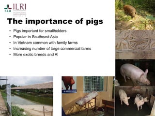 Pest forecasting: Japanese encephalitis, leptospirosis, aflatoxicosis