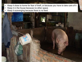 Pest forecasting: Japanese encephalitis, leptospirosis, aflatoxicosis