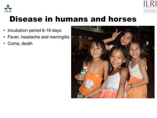 Pest forecasting: Japanese encephalitis, leptospirosis, aflatoxicosis