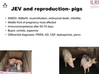 Pest forecasting: Japanese encephalitis, leptospirosis, aflatoxicosis