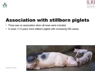 Pest forecasting: Japanese encephalitis, leptospirosis, aflatoxicosis