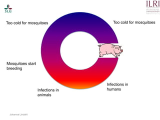 Pest forecasting: Japanese encephalitis, leptospirosis, aflatoxicosis