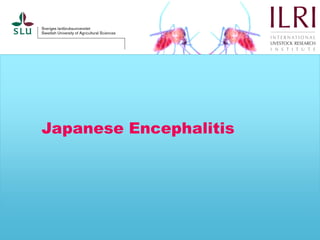 Pest forecasting: Japanese encephalitis, leptospirosis, aflatoxicosis