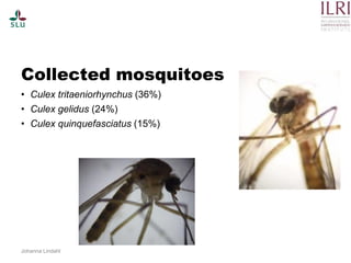 Pest forecasting: Japanese encephalitis, leptospirosis, aflatoxicosis