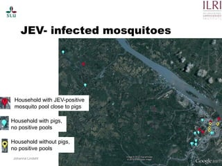 Pest forecasting: Japanese encephalitis, leptospirosis, aflatoxicosis
