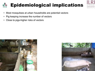 Pest forecasting: Japanese encephalitis, leptospirosis, aflatoxicosis