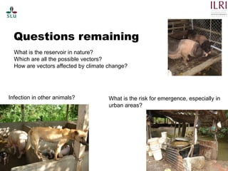 Pest forecasting: Japanese encephalitis, leptospirosis, aflatoxicosis