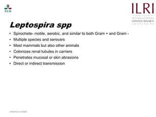 Pest forecasting: Japanese encephalitis, leptospirosis, aflatoxicosis