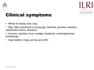 Pest forecasting: Japanese encephalitis, leptospirosis, aflatoxicosis