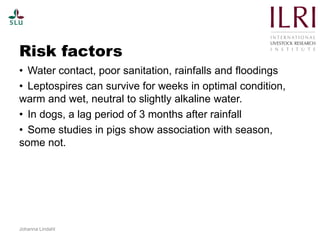 Pest forecasting: Japanese encephalitis, leptospirosis, aflatoxicosis