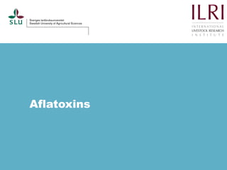 Pest forecasting: Japanese encephalitis, leptospirosis, aflatoxicosis
