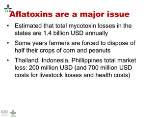 Pest forecasting: Japanese encephalitis, leptospirosis, aflatoxicosis
