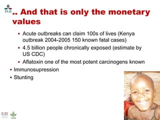 Pest forecasting: Japanese encephalitis, leptospirosis, aflatoxicosis