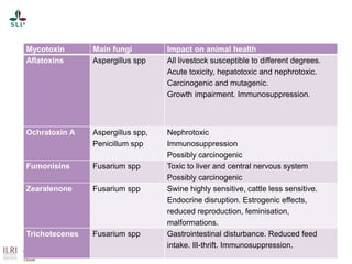 Pest forecasting: Japanese encephalitis, leptospirosis, aflatoxicosis