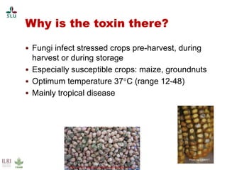 Pest forecasting: Japanese encephalitis, leptospirosis, aflatoxicosis