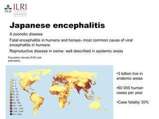 Pest forecasting: Japanese encephalitis, leptospirosis, aflatoxicosis