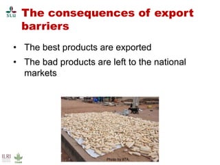 Pest forecasting: Japanese encephalitis, leptospirosis, aflatoxicosis