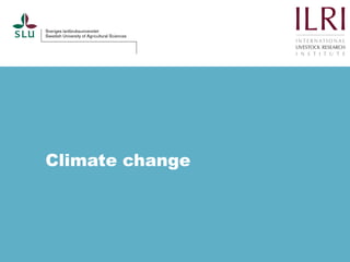 Pest forecasting: Japanese encephalitis, leptospirosis, aflatoxicosis