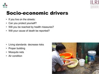 Pest forecasting: Japanese encephalitis, leptospirosis, aflatoxicosis