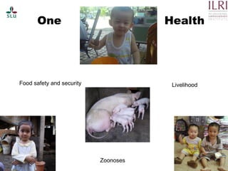 Pest forecasting: Japanese encephalitis, leptospirosis, aflatoxicosis