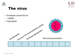 Pest forecasting: Japanese encephalitis, leptospirosis, aflatoxicosis