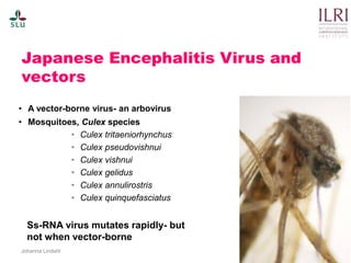 Pest forecasting: Japanese encephalitis, leptospirosis, aflatoxicosis