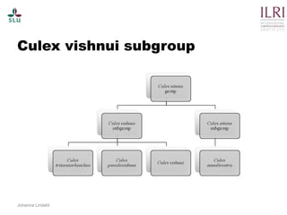 Pest forecasting: Japanese encephalitis, leptospirosis, aflatoxicosis