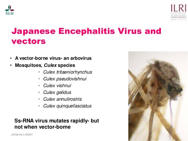 Pest forecasting: Japanese encephalitis, leptospirosis, aflatoxicosis