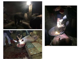 Pestforecast: Surveillance and early warning systems for climate sensitive diseases in Vietnam