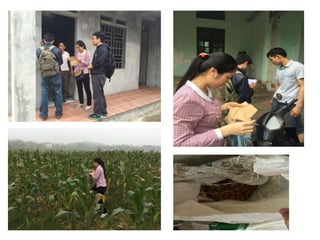 Pestforecast: Surveillance and early warning systems for climate sensitive diseases in Vietnam