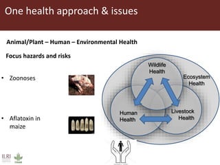 Surveillance and early warning systems for climate sensitive diseases in Vietnam