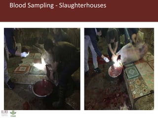 Surveillance and early warning systems for climate sensitive diseases in Vietnam