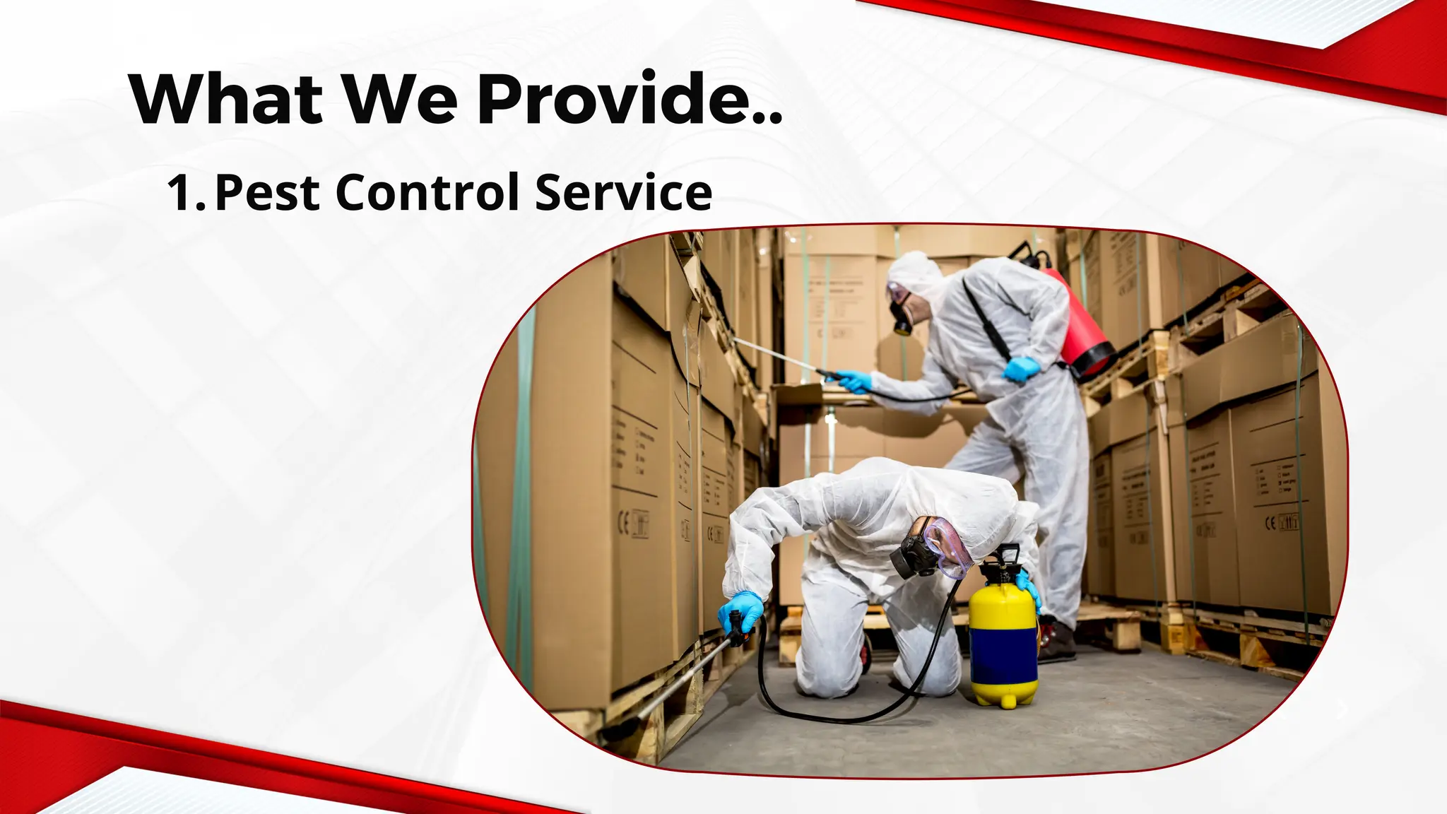 Pest Free Services Company Profile Pest Control & Fumigation Company | PDF