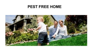 PEST FREE HOME
 