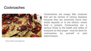 Cockroaches
Cockroaches are creepy little creatures
that can be carriers of various diseases
because they are commonly found near
waste deposits or in the kitchen, where
food is present. Cockroaches are a
serious threat to the health and safety of
everyone so that proper must be done for
cockroaches by yourself or pest
exterminators.
Picture Credit: www.topbest.ph
 