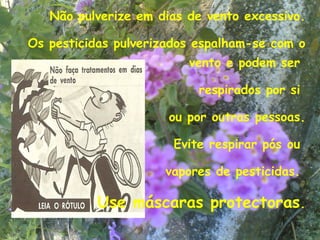 Não pulverize em dias de vento excessivo.

Os pesticidas pulverizados espalham-se com o
                         vento e podem ser

                           respirados por si

                      ou por outras pessoas.

                       Evite respirar pós ou

                     vapores de pesticidas.

           Use máscaras protectoras.
                                          12
 