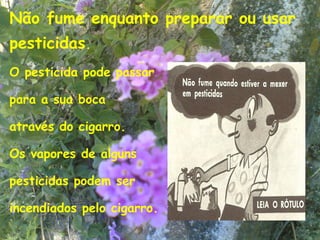 Não fume enquanto preparar ou usar
pesticidas.
O pesticida pode passar

para a sua boca

através do cigarro.

Os vapores de alguns

pesticidas podem ser

incendiados pelo cigarro.
                                 13
 