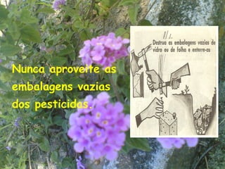 Nunca aproveite as
embalagens vazias
dos pesticidas.



                     15
 