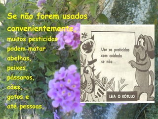 Se não forem usados
convenientemente,
muitos pesticidas
podem matar
abelhas,
peixes,
pássaros,
cães,
gatos e
até pessoas.
                      19
 