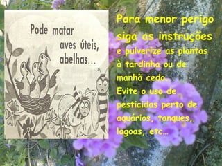 Para menor perigo
siga as instruções
e pulverize as plantas
à tardinha ou de
manhã cedo.
Evite o uso de
pesticidas perto de
aquários, tanques,
lagoas, etc…

                      20
 