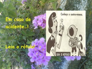Em caso de
acidente…!



Leia o rótulo!


                 25
 