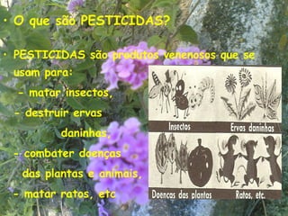 • O que são PESTICIDAS?

• PESTICIDAS são produtos venenosos que se
 usam para:
  - matar insectos,
 - destruir ervas
          daninhas,
 - combater doenças
   das plantas e animais,
 - matar ratos, etc
                                             3
 