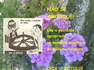 • NÃO SE
 ARRISQUE!

• Use o pesticida
 apropriado
 no momento exacto e
 da maneira correcta.



                        4

• LEIA O RÓTULO!
 