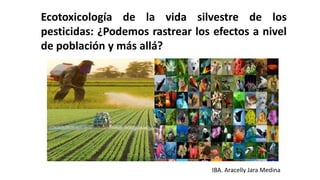 IBA. Aracelly Jara Medina
Ecotoxicología de la vida silvestre de los
pesticidas: ¿Podemos rastrear los efectos a nivel
de población y más allá?
 