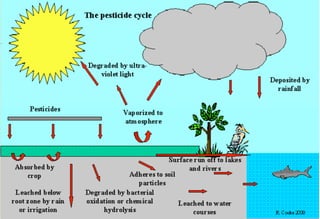 Pesticide cycle