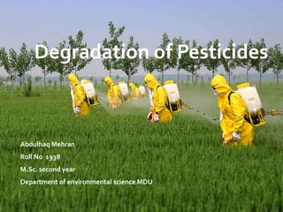 Degradation of Pesticides
Abdulhaq Mehran
Roll No 1938
M.Sc. second year
Department of environmental science MDU
 