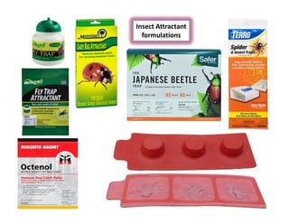 Insect Attractant
formulations
 